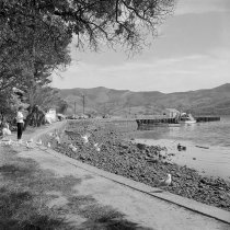 Feeding seagulls. Donald J. McKay, 1960