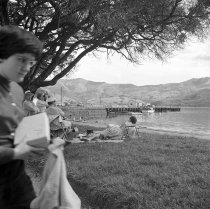 Britomart Reserve. Donald J. McKay, 1960