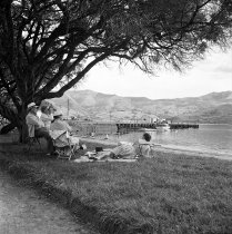 Britomart Reserve. Donald J. McKay, 1960