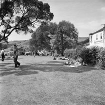 Britomart Reserve. Donald J. McKay, 1960