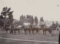 Gig horses, Duvauchelle Horse Show. F.B. Hughes photo, 1908.