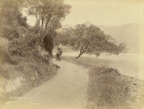 Beach road, Akaroa. H. Poulton, c.1885.