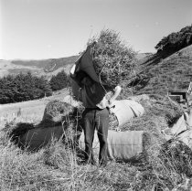 Clyde McKay. Donald J. McKay photo, c.1953