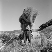 Clyde McKay. Donald J. McKay photo, c.1953