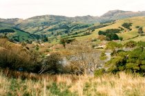 View from the Pavitt Cottage site, Robinsons Bay, 1987