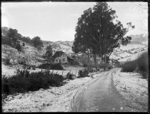 Snowy landscape. T.E. Taylor studio, c.1896-1910.
