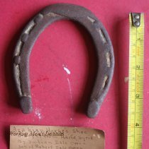 Arabian Horse Shoe
