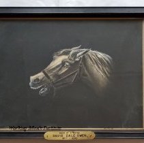 Head of a Horse, by David Dale Owen