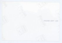 Print, Photographic - Side 2