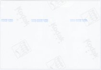 Print, Photographic - Side 2