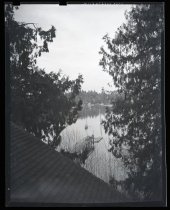 Negative, Sheet Film