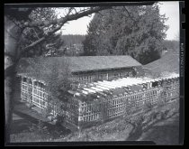 Negative, Sheet Film