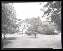 Negative, Sheet Film