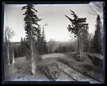 Negative, Sheet Film