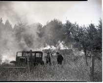 Negative, Sheet Film