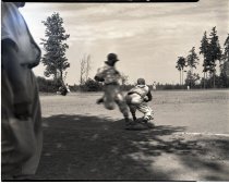 Negative, Sheet Film