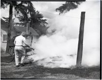 Negative, Sheet Film