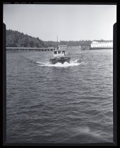 Negative, Sheet Film