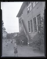 Negative, Sheet Film