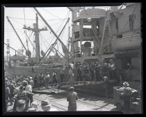 Negative, Sheet Film