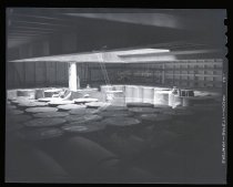 Negative, Sheet Film