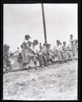 Negative, Sheet Film