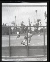 Negative, Sheet Film