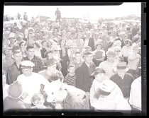 Negative, Sheet Film