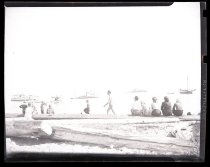 Negative, Sheet Film