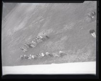 Negative, Sheet Film