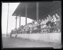 Negative, Sheet Film