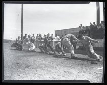 Negative, Sheet Film