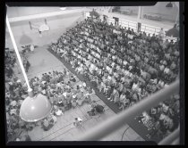 Negative, Sheet Film