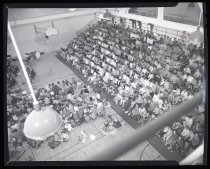 Negative, Sheet Film