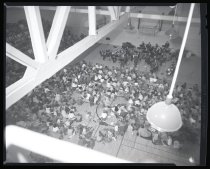 Negative, Sheet Film