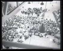 Negative, Sheet Film