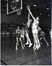 Negative, Sheet Film