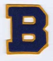 Patch, Insignia - Side 1
