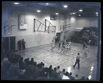 Negative, Sheet Film