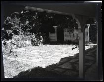 Negative, Sheet Film