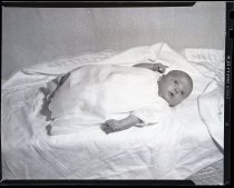 Negative, Sheet Film