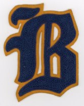 Patch, Insignia - Side 1