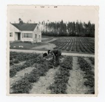 Print, Photographic - Side 1