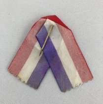 Pin, Political - Side 2