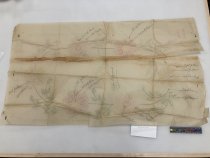 Pattern template, Chenille