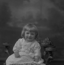 Negative, Glass Plate