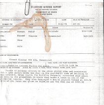 copy of police report