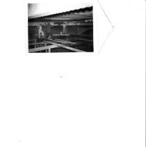 Work on the Fox West