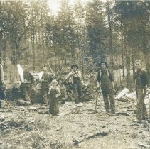 Clearing Trees for road to Sanitarium