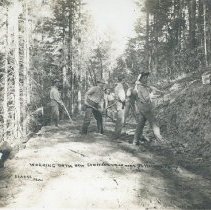 New Road to Sanitarium